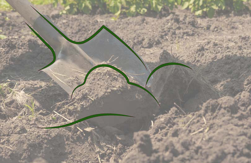 В урочище Уручье продолжаются раскопки на месте захоронения жертв геноцида