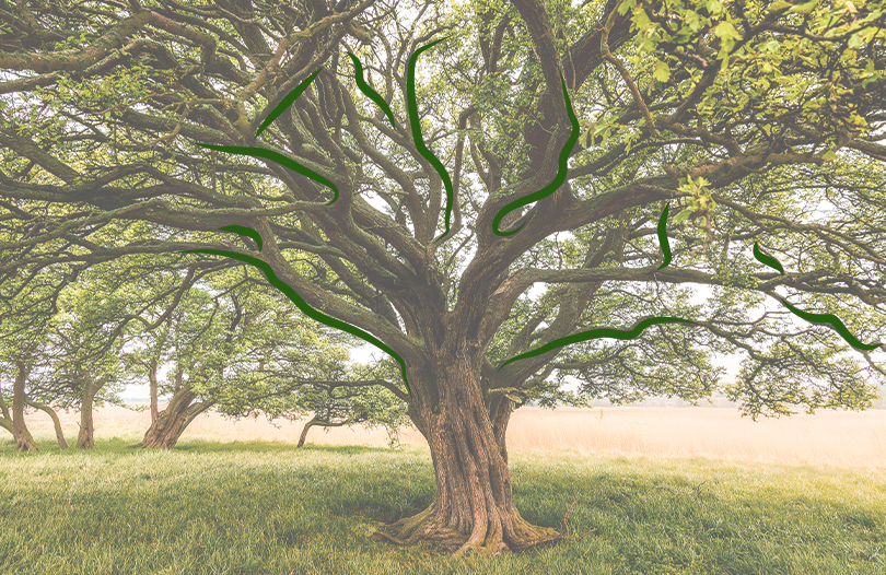 Памятник в виде дерева: история и современность