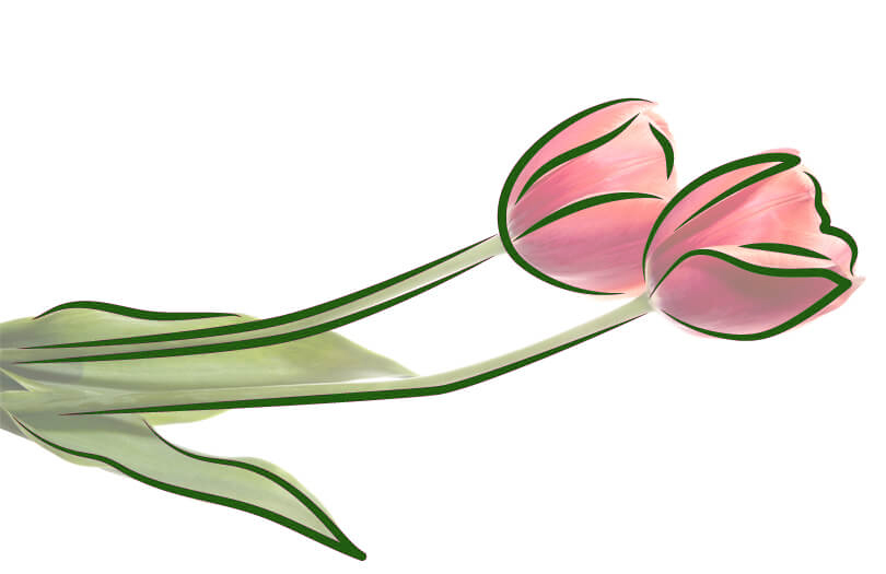 Скончался заместитель главы БНФ Владимир Заболоцкий