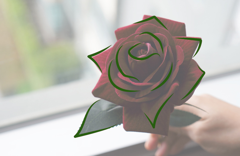 Цветы мужчине на похороны: какие выбрать?