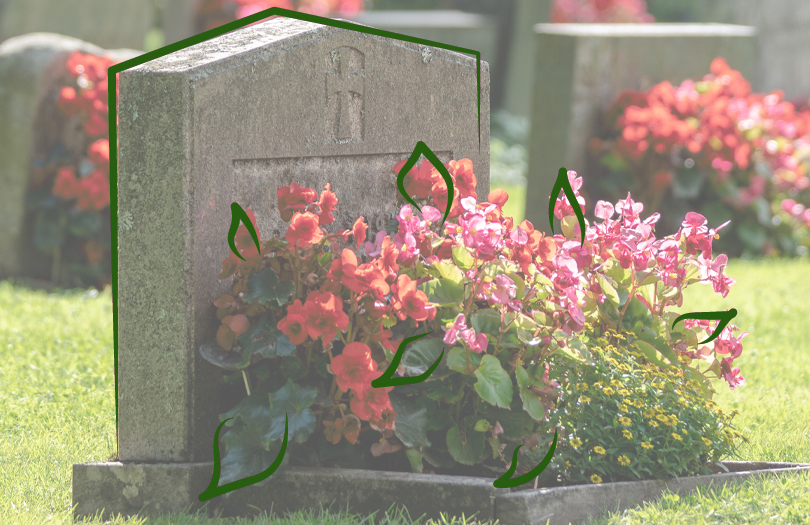 Что посадить на кладбище