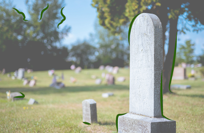 Надгробный памятник: значение и символизм изображённых на нём растений