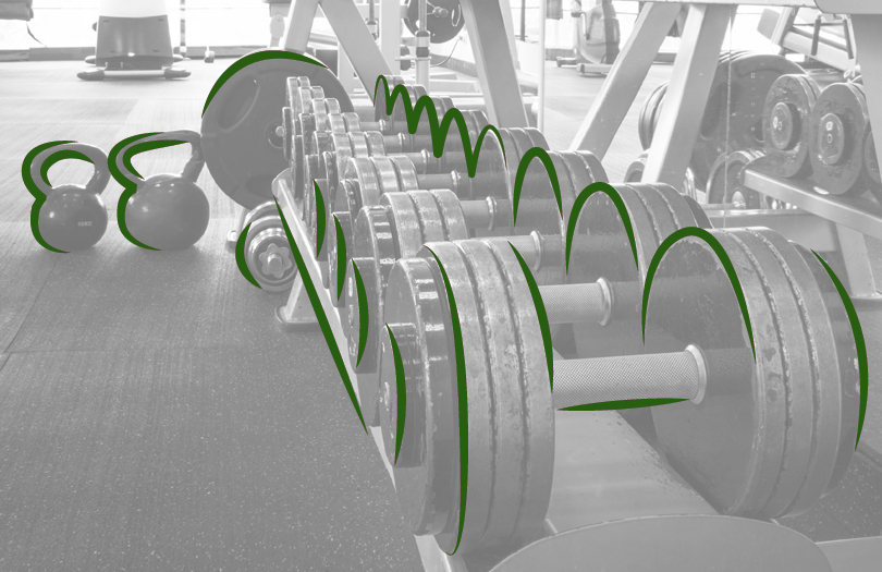 Физические нагрузки продлевают жизнь или ускоряют смерть?