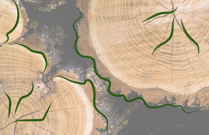 Материал для гроба