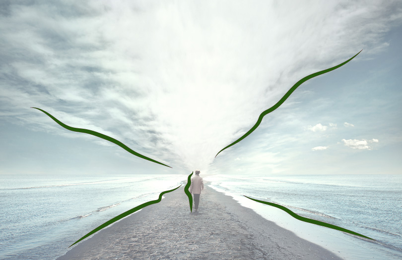 Синдром Лазаря – самопроизвольное воскрешение