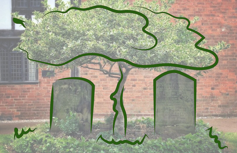 Экологические похороны: ресомация и промессия