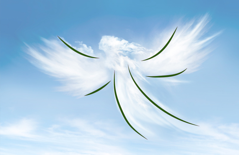 Почему люди перед смертью видят умерших родственников