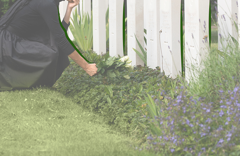 Захоронения вне закона: что не так со стихийными кладбищами?