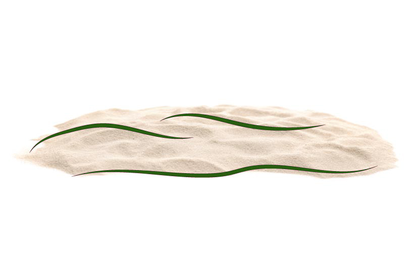 Песок на кладбище - для чего используют? 