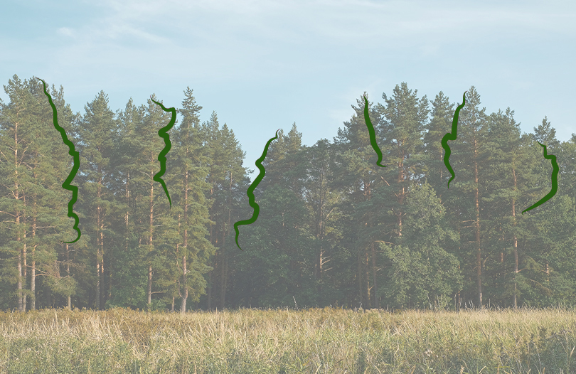 Что делать в случае, когда тело погибшего отыскать невозможно?