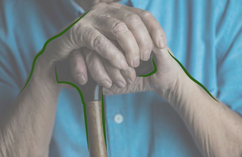 Белорусские долгожители 