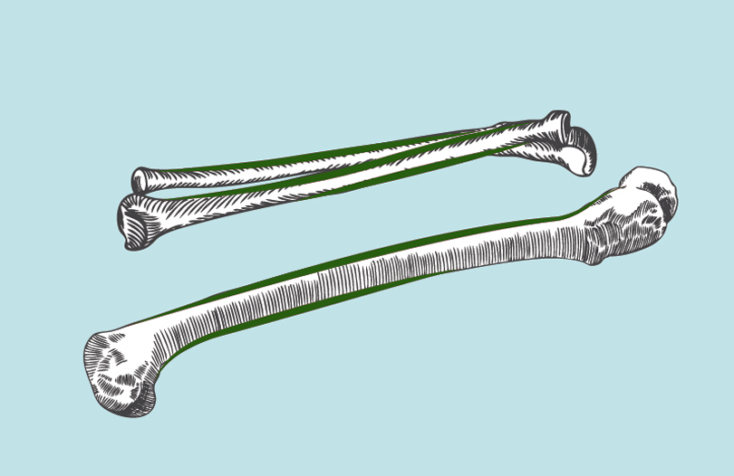 Останки древних людей