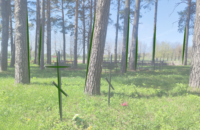 Деревья на кладбище: удалить нельзя оставить