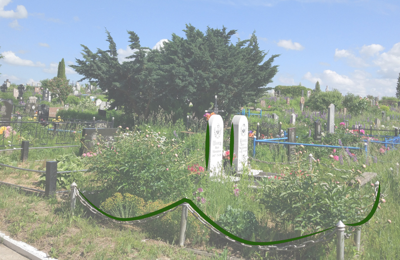 Население некрополя: кто и зачем живёт на кладбище?