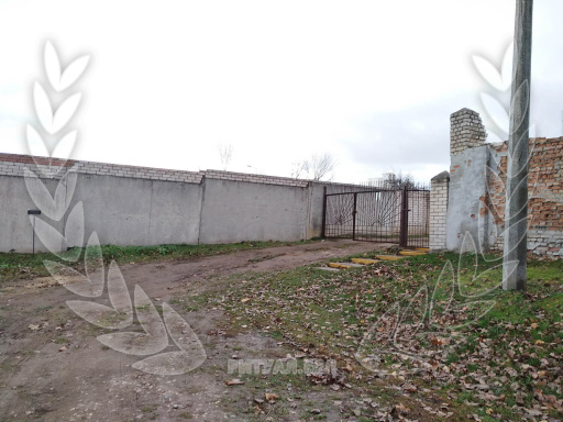 Козыревское кладбище в Минске, фото