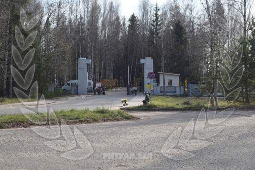 Кладбище Колодищи в Минске, фото